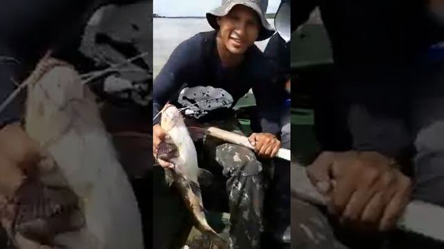 Grandi riu branco Roraima , águas fartas смотреть онлайн