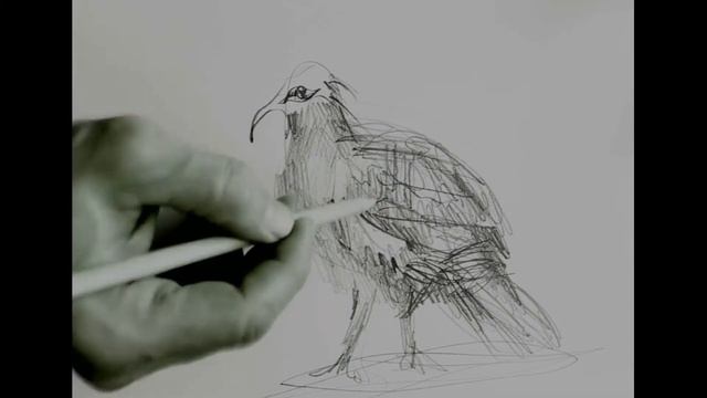 Рисование голубя Венценосный голубь Rotbrust Kronentaube смотреть онлайн