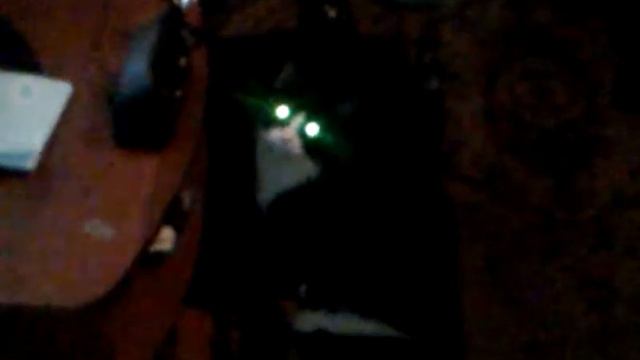Кот-семафор смотреть онлайн