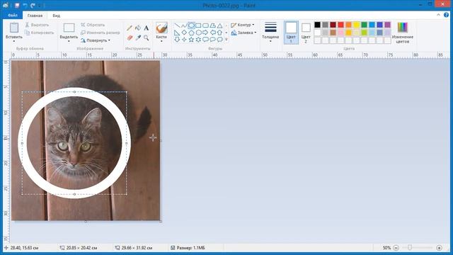Как в Paint обрезать фото кругом смотреть онлайн