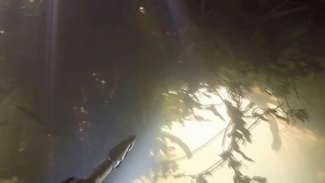 Подводная охота 4 - 2016. смотреть онлайн
