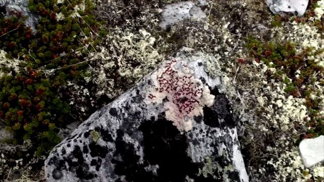 ПОХОД ПО НОРВЕГИИ.Перевал Dørålglupen.Часть 5-ая. смотреть онлайн