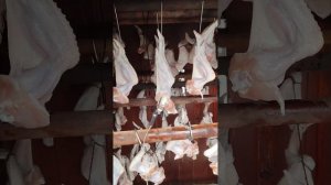 Варено- копчёные куриные крылышки