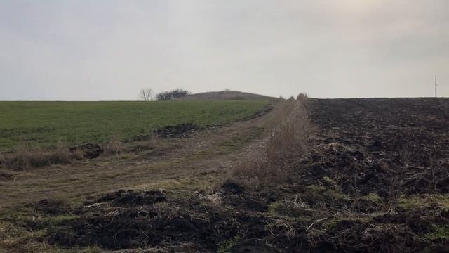 Рыболовные Орнаменты