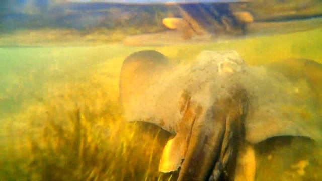 ? ГОЛУБАЯ ЛАГУНА - Новая Экскурсия в Железном Порту! Где Это? смотреть онлайн