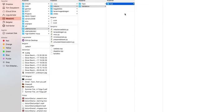 4.4 Simulate Imbalanced Dataset For Convolutional Neural Network смотреть онлайн