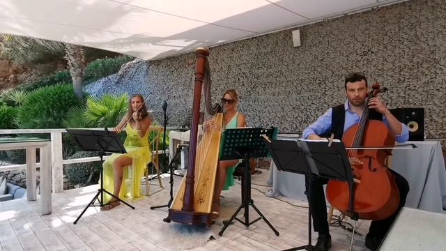 Harp & Strings "Wildest Dreams" & "Children" смотреть онлайн