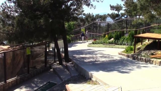 Сафари-парк в Геленджике смотреть онлайн