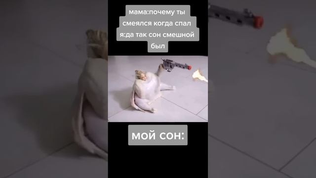 мои сны пре температуре 40c смотреть онлайн