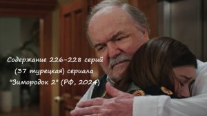 Содержание 226 - 228 серий (37 турецкая, ФИНАЛ) второго сезона сериала "Зимородок" (РФ, 2023 / 2024)
