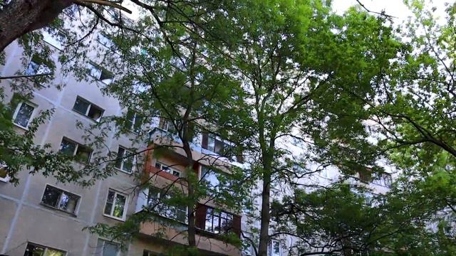 Наступает вечер, и они уходят смотреть онлайн