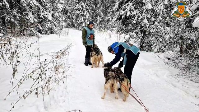 Таежная заимка. смотреть онлайн