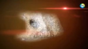 Остров Пасхи или Пуп земли