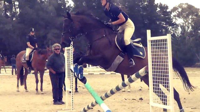 Equestrian music video | Starting from zero got nothing to lose. смотреть онлайн