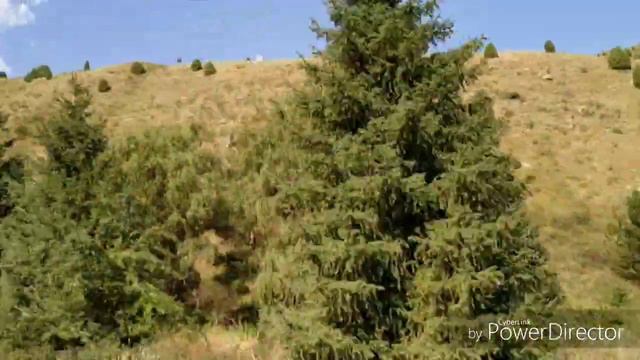Кыргызстан 2019 /Поездка в Ала-арчинское ущелье( 1-я часть) смотреть онлайн