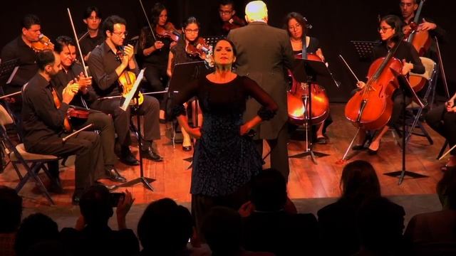 Vals N0 2 D Shostakóvich con castañuelas смотреть онлайн