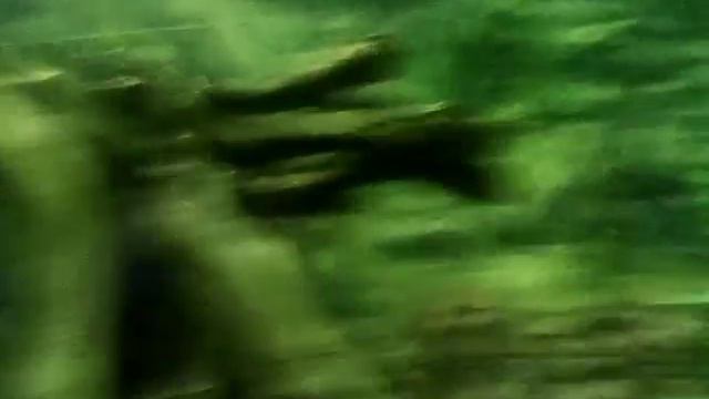 Зоопарк Ростов-на-Дону 2 часть смотреть онлайн