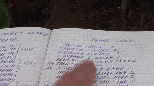 Какие томаты я высадила в теплице Уральская легенда? Самые лучшие! Ольга Чернова. смотреть онлайн