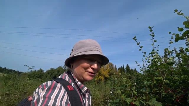 Ура! Набрали много калины! смотреть онлайн