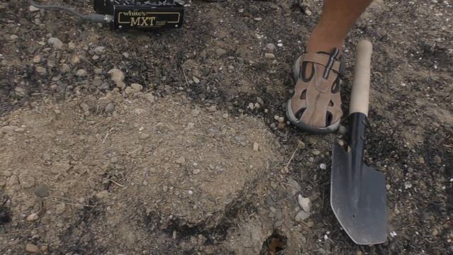 Я с семьей решил поискать клад с Whites MXT на склонах, на выжженой земле. смотреть онлайн