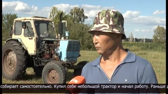 Как проходит сенокос в Кызылжарском районе смотреть онлайн