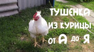 Лучшая ТУШЕНКА ИЗ БРОЙЛЕРА БЕЗ Автоклава от «А» до «Я»!  Как Правильно Хранить Тушёнку