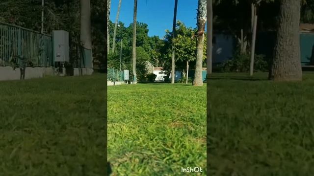 третий способ ходьбы Цигун #цигун #цигунонлайн #практики #упражнения #здоровье #магия #восток