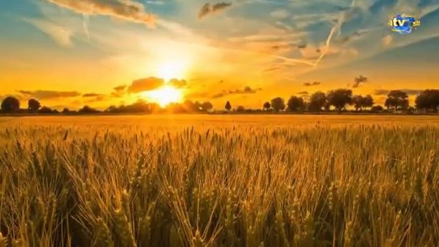 Имам Махди предсказание. смотреть онлайн