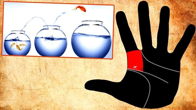 ЗВЕЗДА на руках / хиромантия / Кладезь Хиромантии смотреть онлайн