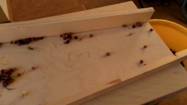 Перебрать клюкву смотреть онлайн