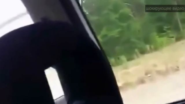 Русский мужик защитил свою семью смотреть онлайн