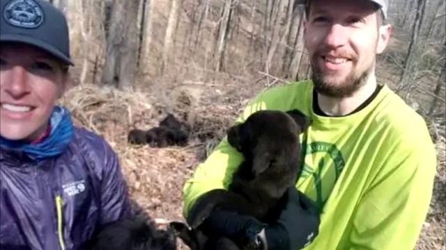 Парень замер, услышав шум в лесу. Затем он обнаружил странную чёрную кучу! смотреть онлайн