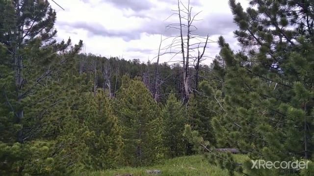 Нетурист. Из деревни Паспарта по тайге. Изба с лошадинными копытами. смотреть онлайн