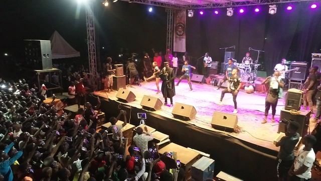 FESTIVAL AFRO BEAT 8: Vue aérienne du public смотреть онлайн