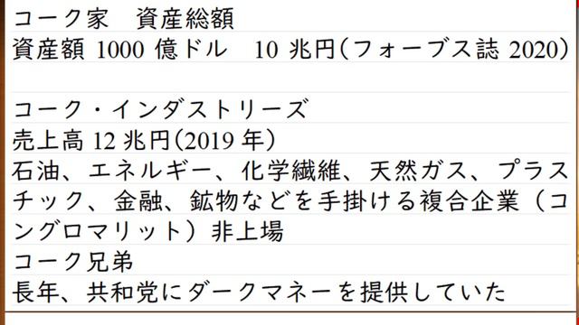 【ダークマネー】バイデン大統領を支えた巨額資金。提供者として誰が有力なのか3つの出所を解説 смотреть онлайн