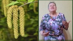 " Сережка"   авторская песня     Вараксиной  Нины  аранжировка А.Знаменский