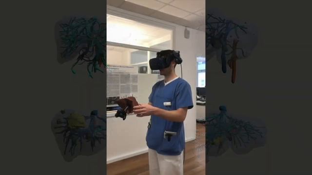 A Study On The Size Of Tangible Organ-shaped Controllers For Exploring Medical Data In VR
