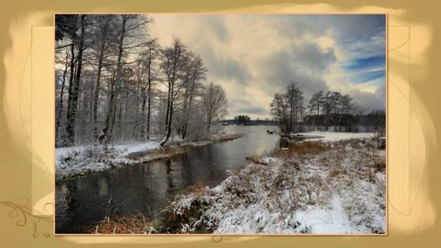 Онлайн-досуг «Любовь к полям, лесам и Родине» смотреть онлайн