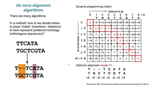 Phylogenetic reconstruction смотреть онлайн
