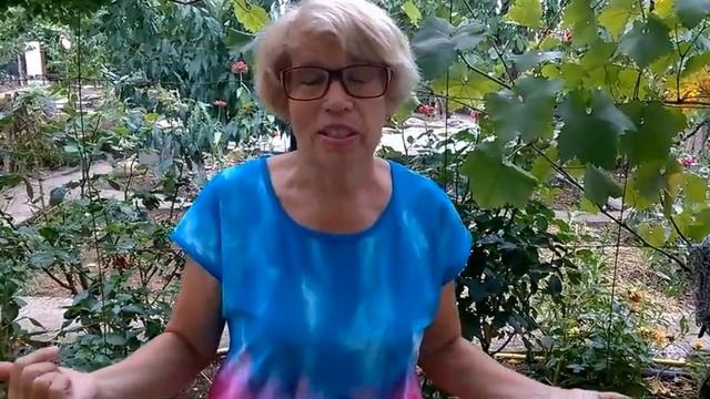 КАК САЖАТЬ КЛУБНИКУ НА АГРОВОЛОКНО ?/Исправляю ошибки смотреть онлайн