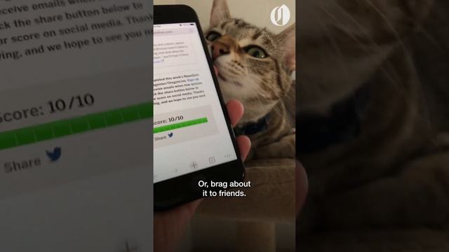 Are you a news hound? Test your knowledge with The Oregonian's NewsQuiz смотреть онлайн