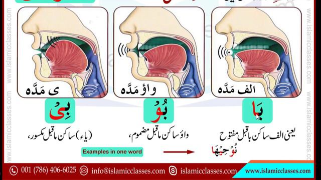 Makhraj of Maddah Letters - Lesson No 21 - Tajweed Rules in Urdu/Hindi смотреть онлайн