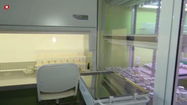 Дегустация актинидии и малины в НПЦ Агропищепром смотреть онлайн