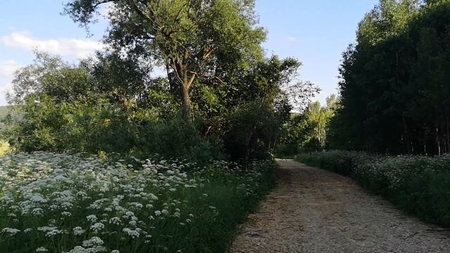 Участки ИЖС около реки Ока, ул.Цветочная (восток), дер.Воронино Ферзиковского р-на Калужской обл. смотреть онлайн