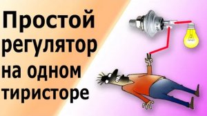 Простой регулятор мощности на одном тиристоре для переменного тока Принцип действия тиристора, схема