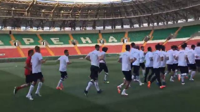 Сборная Египта начала тренировку в Грозном. От Айман Муса смотреть онлайн