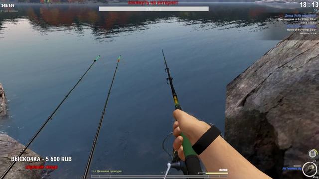 РЫБАЛКА НА ХИЩНИКА ОТЛИЧНЫЙ КЛЁВ! TheFisher Online [Стрим Обзор]