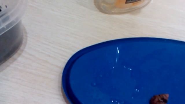 Уход за белой улиткой смотреть онлайн