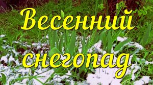 Весенний снегопад