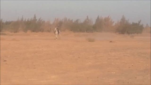 принц на Белом Коне смотреть онлайн